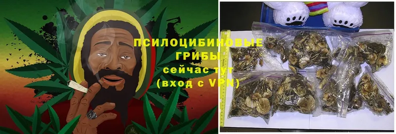 Псилоцибиновые грибы Magic Shrooms  цены наркотик  Саратов 