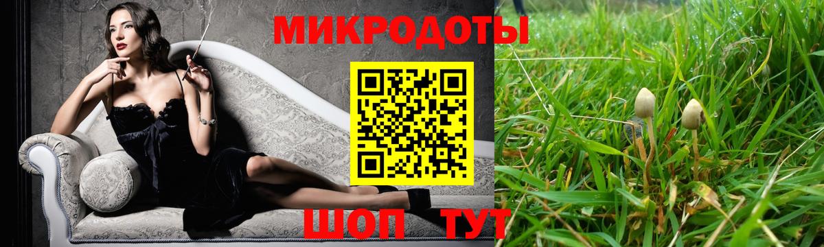 Саратов  где можно купить наркотик  Вход с VPN  Псилоцибиновые грибы Cubensis 